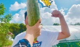 今日吃瓜必吃大瓜网红,揭秘吃瓜必看的热门事件